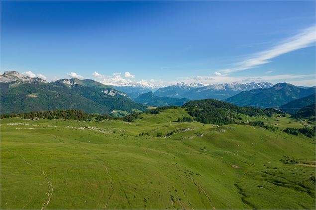 Sentier de randonnée - La Pointe de Miribel depuis Plaine-Joux_Bogève - arnaud lesueur