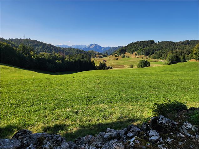 alpage de plaine joux - Môle & Brasses Tourisme