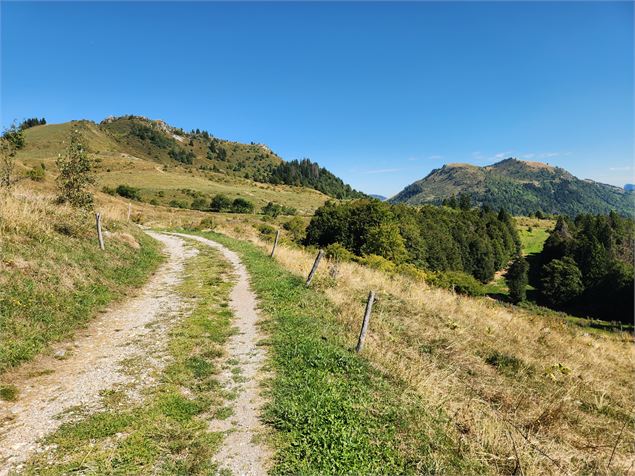 montée en direction de la pointe de miribel - Môle & Brasses Tourisme