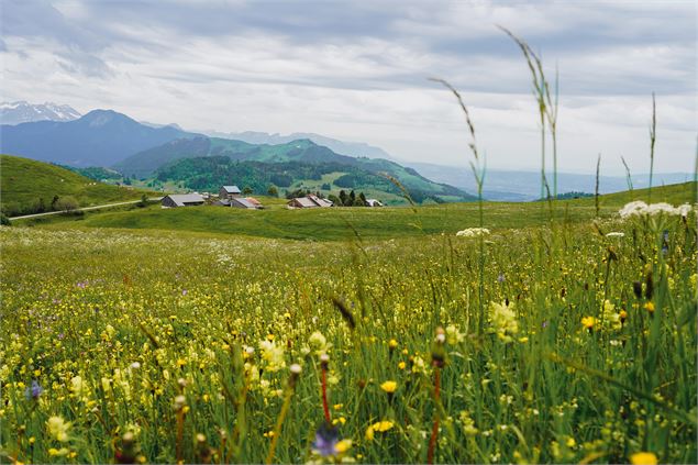 Plateau de Plaine Joux - arnaud lesueur