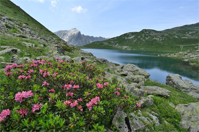 Le lac Jovet, au coeur de la Réserve Naurelle des Contamines - Les Contamines Tourisme