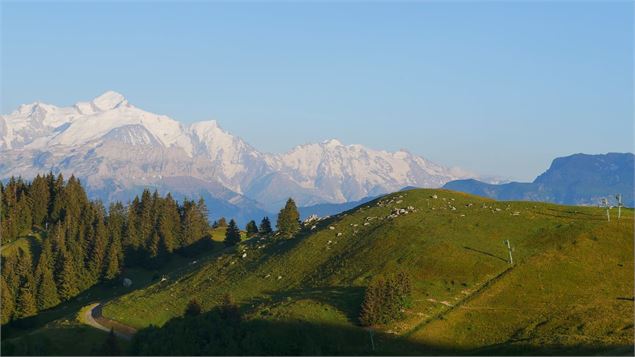 Alpage de la Joux - M&B Tourisme