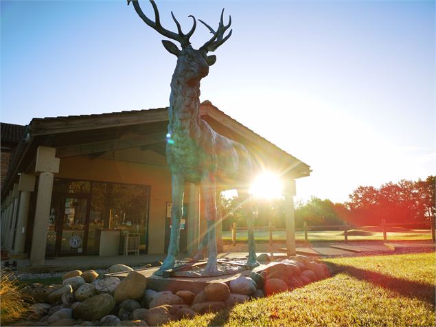 Le Cerf - ©Golf de la Sorelle