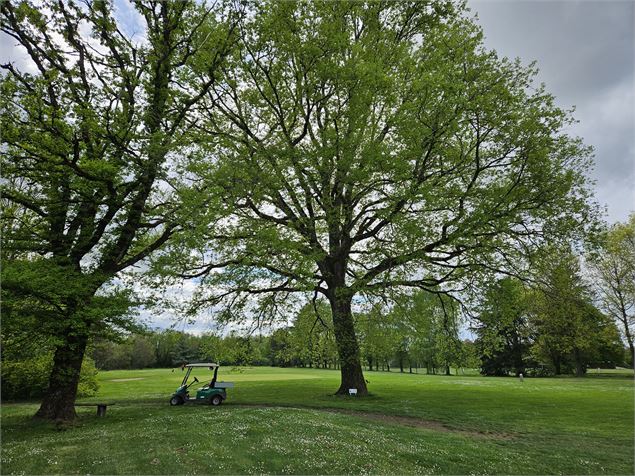  - Golf de Bourg-en-Bresse