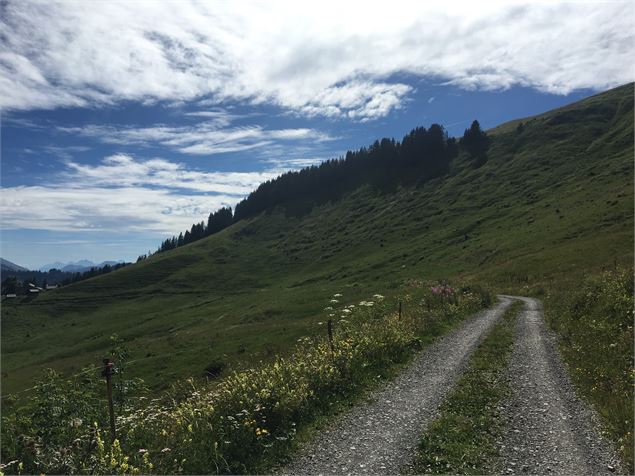 Le Tour du Lachat - Alpcat Medias