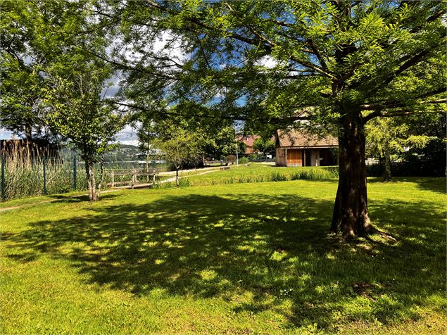 Plage Aiguebelette-le-Lac - C. Moureaux