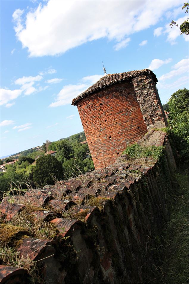 Vestiges du Vieux Château - S.Ferrier/Dombes Tourisme