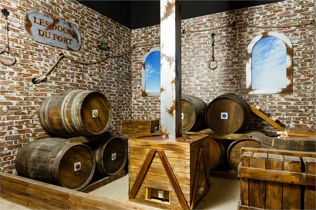 Fort Boyard Aventures_Epagny Metz-Tessy - 