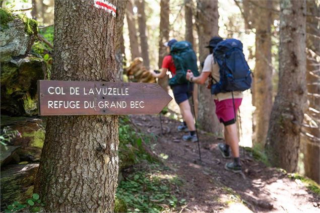 Sur le chemin en allant au refuge du Grand Bec en aller - retour - Planay - Elisabeth Gayard