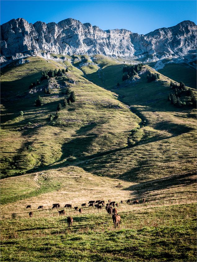 La Croix de Fer_La Clusaz
