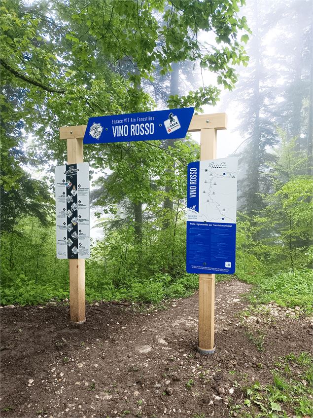 Porte d'entrée - Nathanaël Desmeules