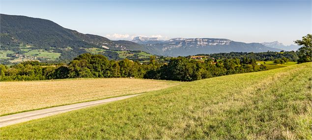 Vue sur la Chartreuse depuis le Circuit du Mont Tournier - © Explore Savoie - Lansard