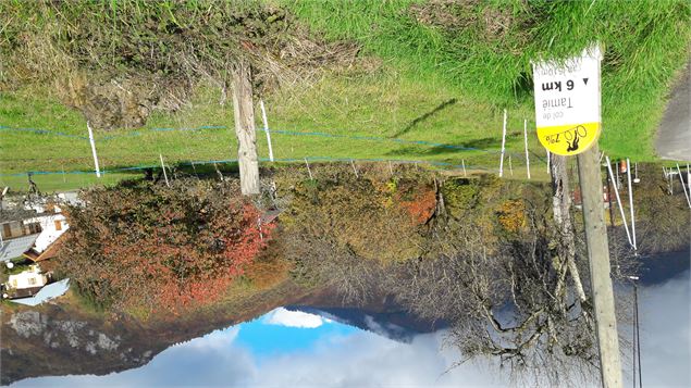 dans la montée du col de Tamié - © Explore Savoie - Lansard
