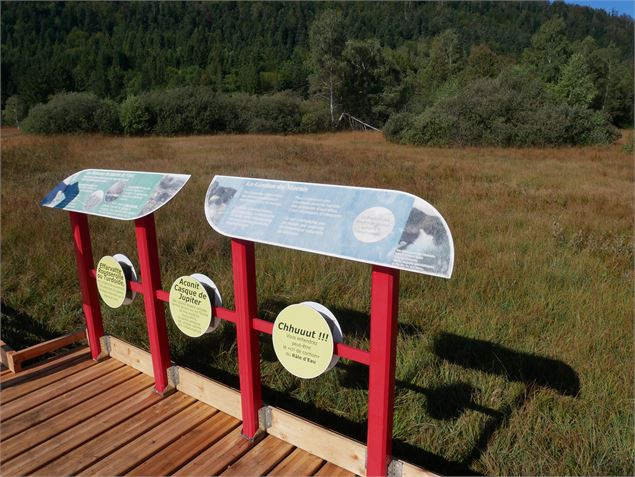 Animation sur le ponton - Jérôme Pruniaux agence ARGO Haut-Bugey Tourisme