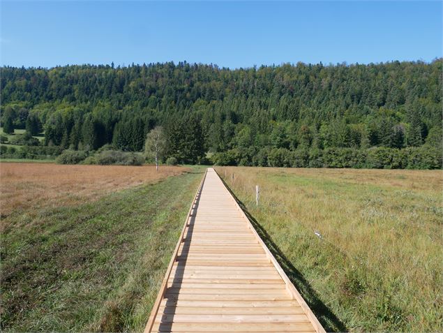 Paysage du marais - Jérôme Pruniaux agence ARGO Haut-Bugey Tourisme