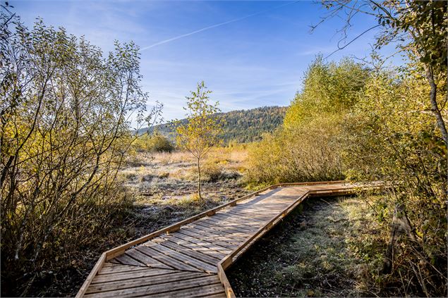 Sentier sur pilotis - Jérôme Pruniaux agence ARGO Haut-Bugey Tourisme