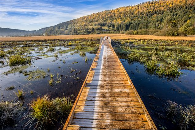 Sentier sur pilotis - Jérôme Pruniaux agence ARGO Haut-Bugey Tourisme