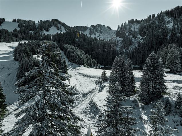 Le lac de la Mouille en hiver - L.Meyer -Châtel