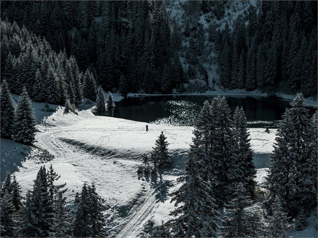 Le lac de la Mouille en hiver - L.Meyer -Châtel