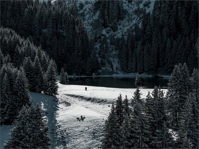 Le lac de la Mouille en hiver - L.Meyer -Châtel
