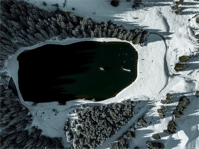 Le lac de la Mouille en hiver - L.Meyer -Châtel