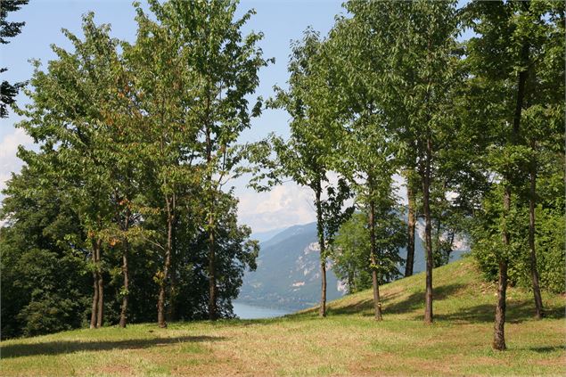 Coin ombragé pour pique nique - Jocelyne Bianchini ATD73