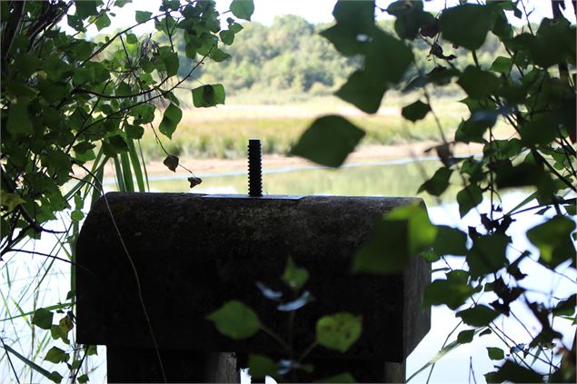 Thou de Vernange - Dombes Tourisme