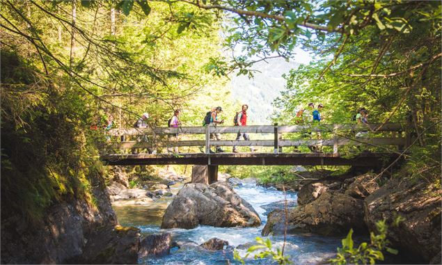 Foilleuse via Tovassière - litescapemedia