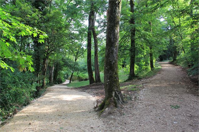 Cheminements Bois Vidal - OT