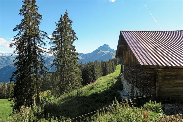 En direction du lac - Mathilde Pruvot