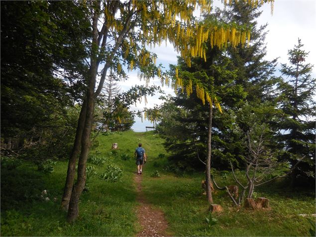 Circuit de randonnée - ©jthevenard