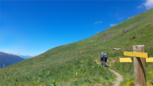 Montée au refuge de Vallonbrun - OTHMV - D. Cuvelier
