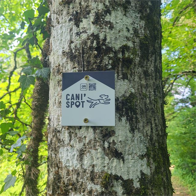 Les Fours à Chaux - Cani'spot n°10_Faverges-Seythenex - ©onpiste ©ddeguelle