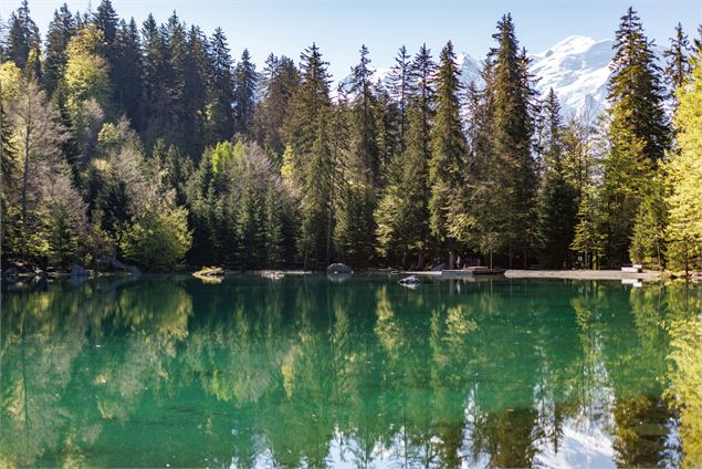 Lac Vert - Jocelyn Clévy