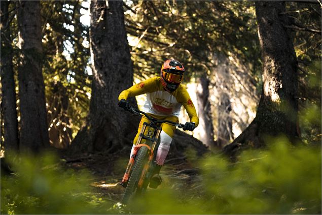 Passage dans le bois, parcours racineux - L.Meyer-Châtel