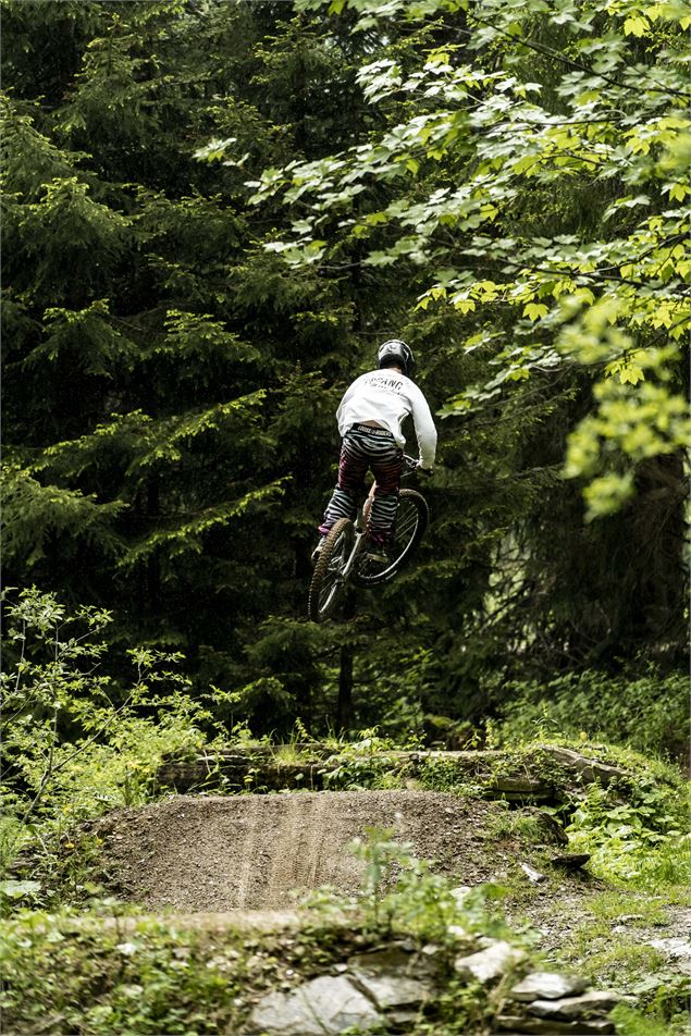 Piste Air Voltage du Bike Park de Châtel - L.Meyer - Châtel