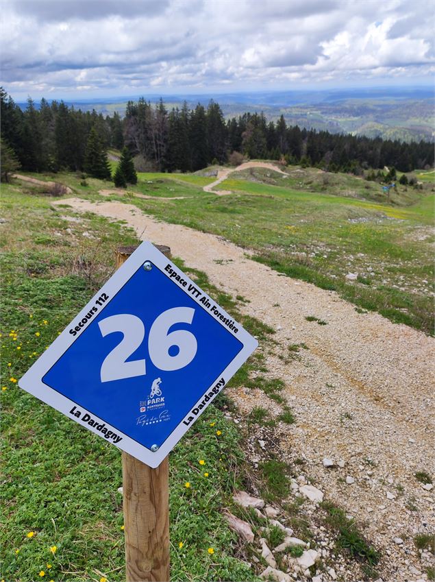 Balisage - Anne-Marie Barbe