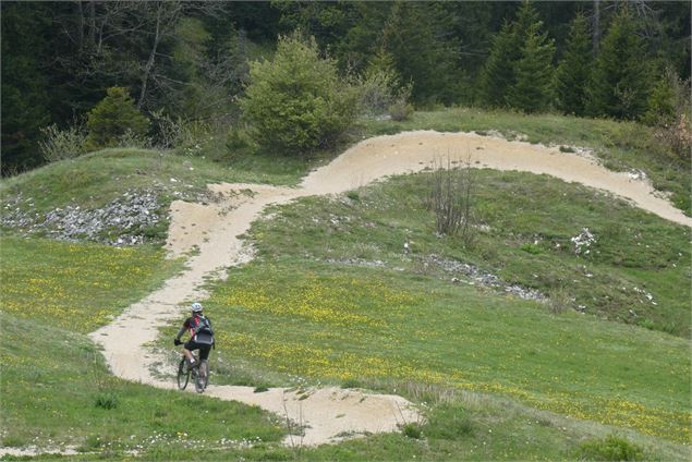 Vététiste sur piste de DH - Anne-Marie Barbe