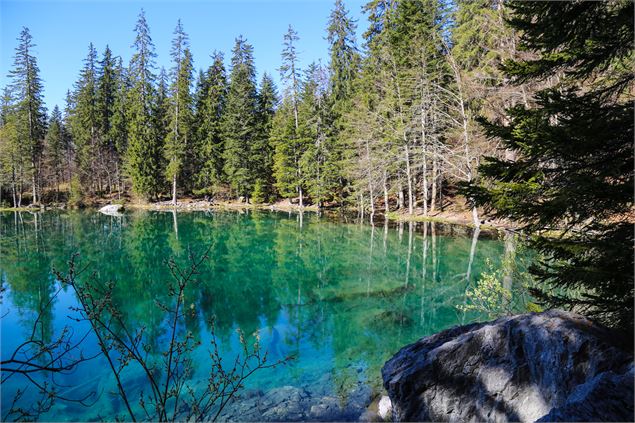 Randonnée Lac Vert - OT Vallée de Chamonix-Salomé-ABRIAL