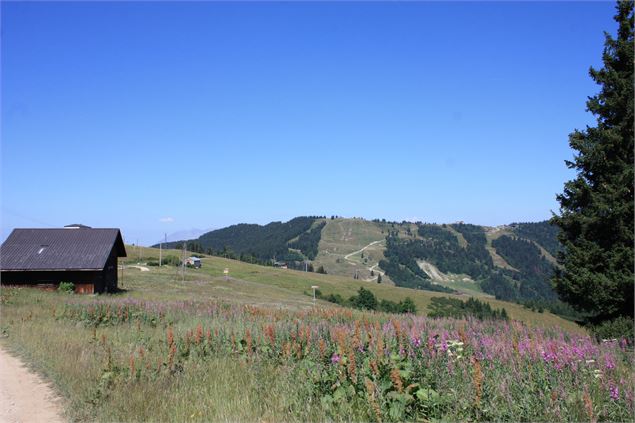 Randonnée Les Houches - Alexandre Juillet