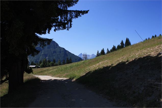 Randonnée Les Houches - Alexandre Juillet