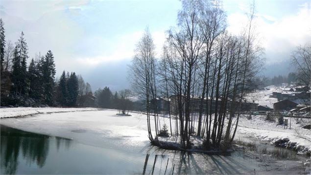 Vue sur le lac des chavants - Alexandre Juillet