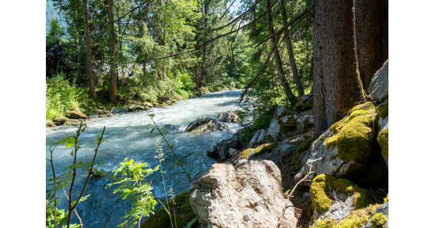 Petit Balcon sud :  Argentière- Les Tines_Argentière