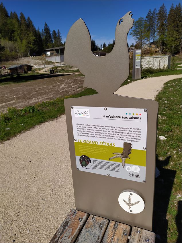 Sentier thématique Mystère des traces - Office de Tourisme du Pays de Gex