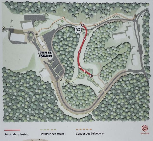 Carte du secret des plantes - Office de Tourisme du Pays de Gex