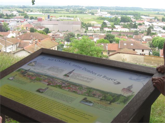 Point de vue du château de Meximieux - Philippe Danné