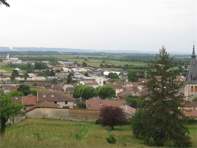Point de vue du château de Meximieux - Philippe Danné