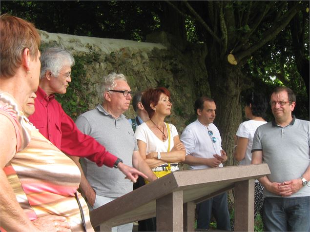 Point de vue du château de Meximieux - Philippe Danné