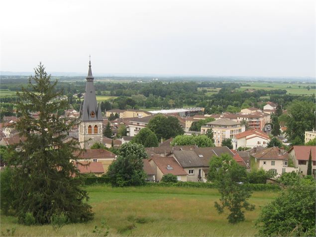 Point de vue du château de Meximieux - Philippe Danné