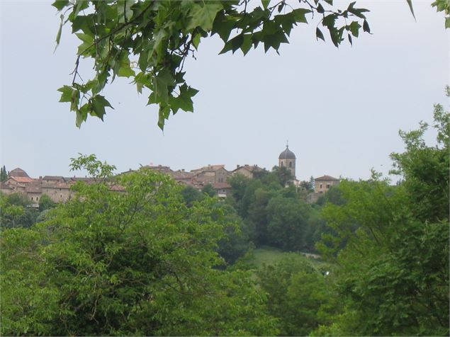 Point de vue du château de Meximieux - Philippe Danné